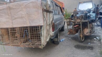 20 Pemburu Diamankan Polisi Usai Bocah Tewas Diserang Anjing di Jasinga