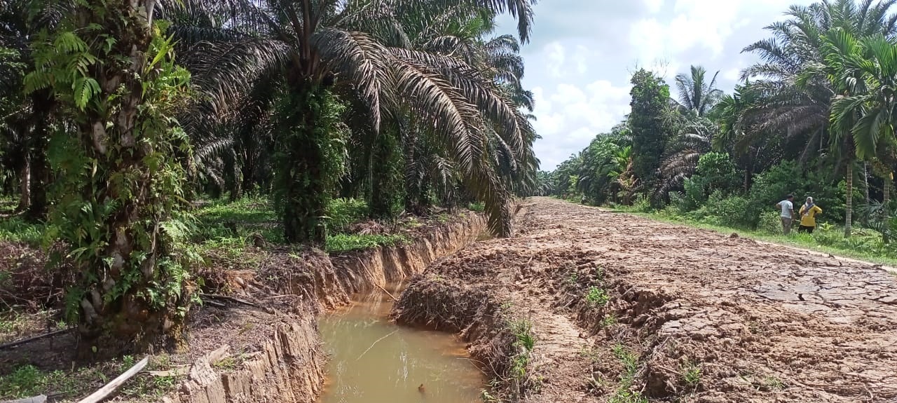 Tanaman diatas Tanah dirusak Oknum Pengelola Proyek pembangunan Irigasi, Pemilik Lahan Lapor Batara